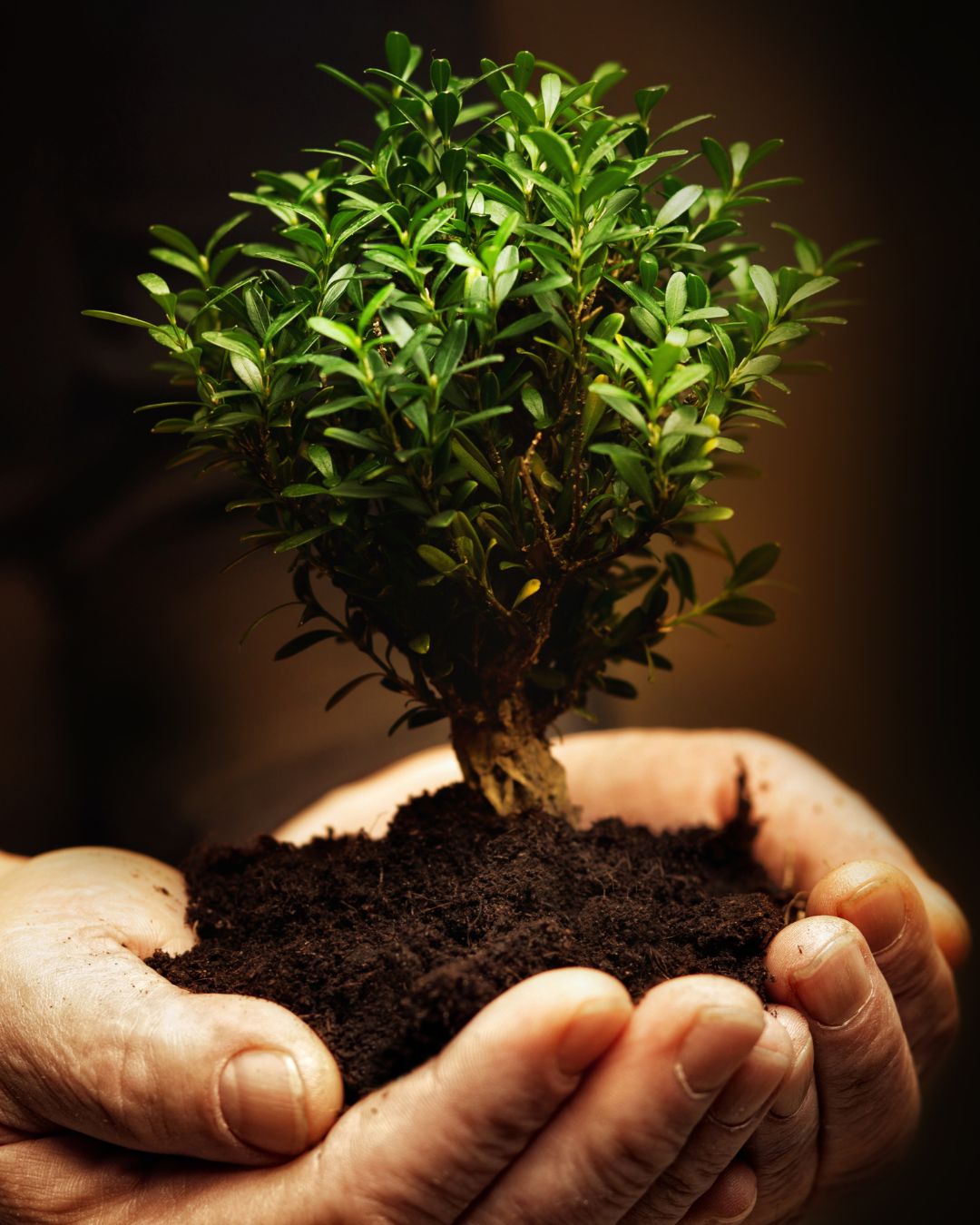 Church planting course photo